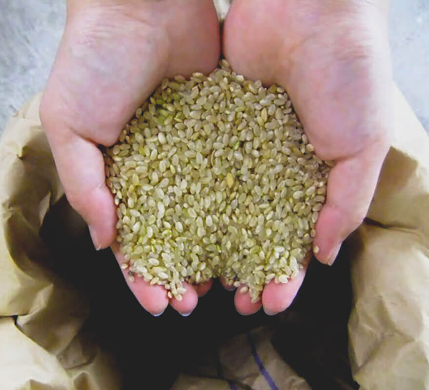 オーガニック玄米